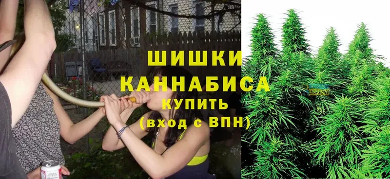 Бошки марихуана OG Kush  гидра маркетплейс  Кинель  цена наркотик 